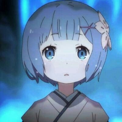 京东宠物节请客全国毛孩子